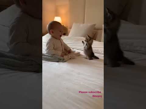 baby&cat combo video#cat#baby#trendingsoundeffect