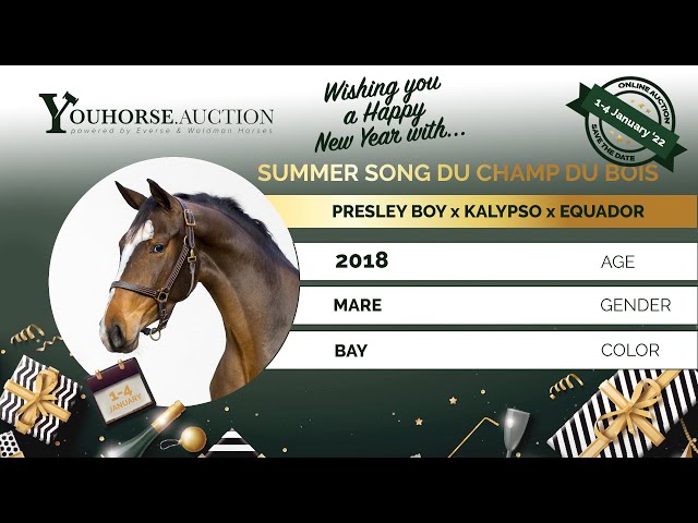 Summer song former auction
