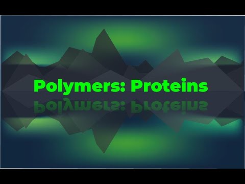 What are protein polymers made of?