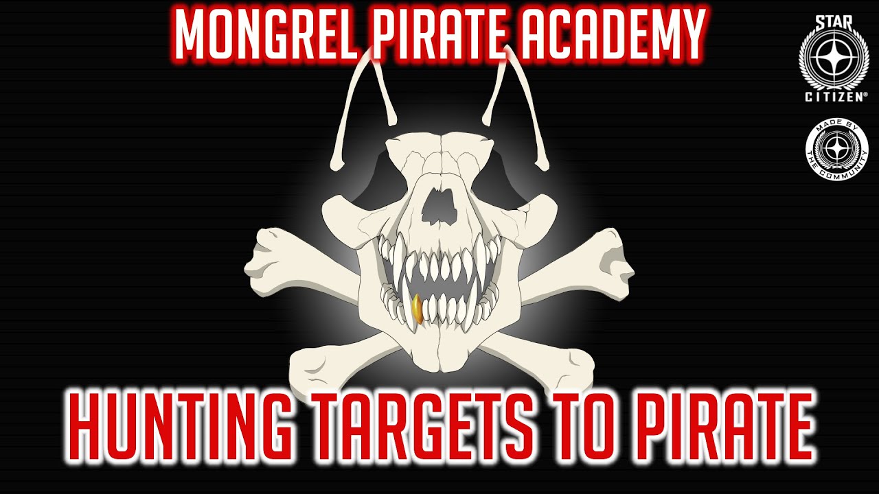 Hunting targets to pirate in Star Citizen - Mongrel Pirate Academy - Episode 5 - YouTube