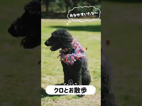 日常・ハンドメイド動画をオシャレに編集します イメージ1