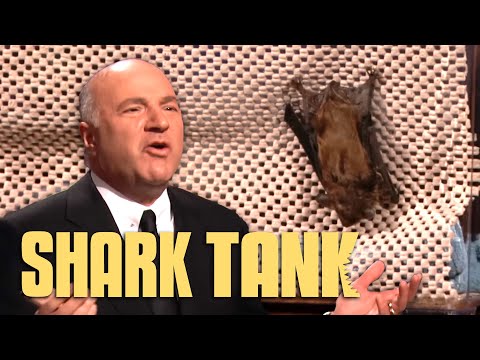Bat Bn B Shark Tank Pitch