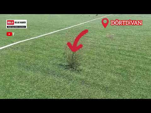 ŞEHİT POLİS YASAR DOĞANÇAY SPOR KOMPLESKİ PERİŞAN HALDE