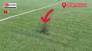 ŞEHİT POLİS YASAR DOĞANÇAY SPOR KOMPLESKİ PERİŞAN HALDE