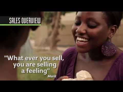 Video 3. How to Make Money - Sales Overview