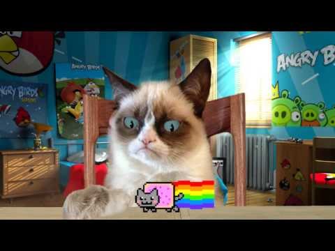 Вынос мозга! "Grumpy Cat Vs Nyan Cat"