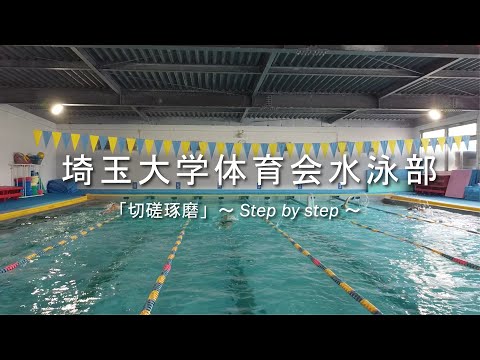 教養学科 埼玉大学サークル活動紹介（体育会水泳部）