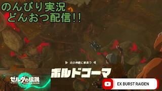 どんおつ配信「ゼルダの伝説 ティアーズオブザキングダム」25