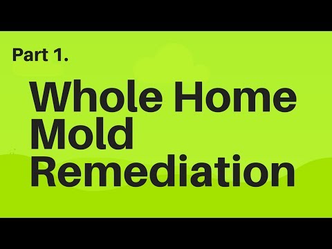 Whole Home Mold Remediation Part 1
