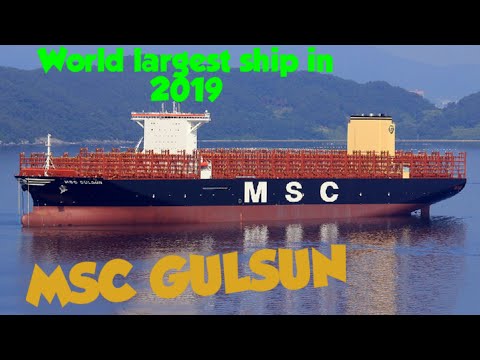World Largest Ship in 2019 | MSC GULSUN Outbound