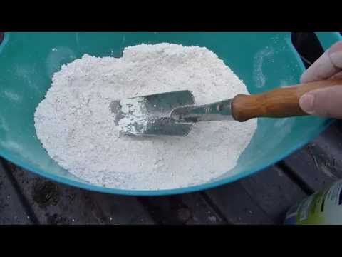 download lagu mp3 mp4 How To Kill Ants With Diatomaceous Earth, download lagu How To Kill Ants With Diatomaceous Earth gratis, unduh video klip How To Kill Ants With Diatomaceous Earth