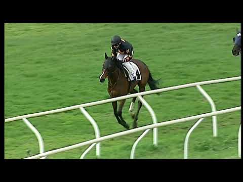 Napoli Galoppo 09/02/2021 - 1ª corsa