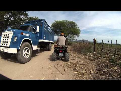 Los caminos de zapata