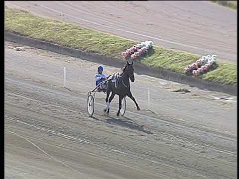 Trotto 13/06/2019 - prova di riqualifica