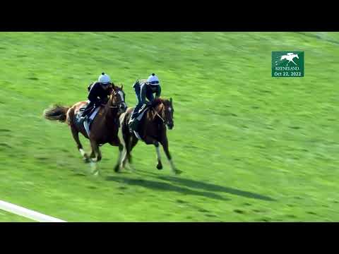 Regal Glory (Outside) and Rougir (FR) (Inside) Work at Keeneland 10.22.2022