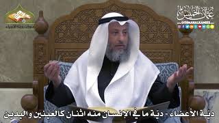 2353 - ديّة الأعضاء - ديّة ما في الإنسان منه اثنان كالعينين واليدين - عثمان الخميس