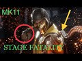 Mortal Kombat 11 SCORPION STAGE FATALITY