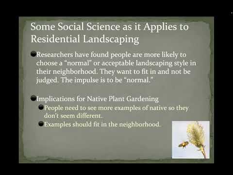 Native Plants for the Small Yard with Kate Brandes