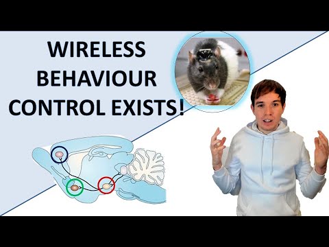 WIRELESS BEHAVIOUR CONTROL DOES EXIST!
