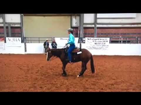 2017 Mattie Gustin - Schooling left handed