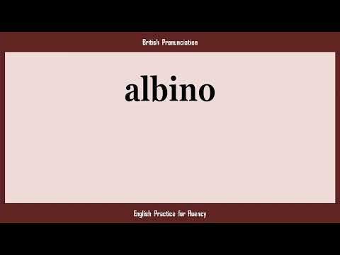 albino, How to Say or Pronounce ALBINO in American, British, Australian English