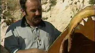 Download lagu Jaws of the Mediterranean Shark Week `97 pt1 mp3 Download lagu Jaws of the Mediterranean Shark Week `97 pt1 mp3