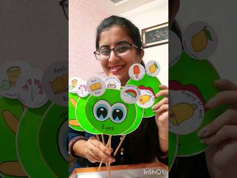 Tlm For Five Senses Sorting