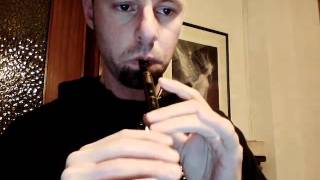 My (first) try of Celtica - Voice of the Morrigan (Cruachan).avi