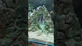 롯데타워 쇼핑몰 아쿠아리움 커피숍 #베트남이발소 #호치민이발소 #7군이발소 #푸미흥이발소 #배트맨이발소 #여…