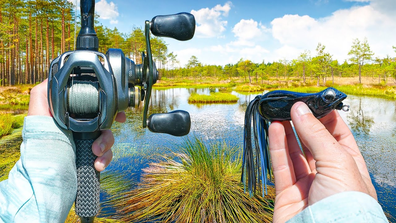 Fishing ONLY Topwater Lures For MONSTER Bass