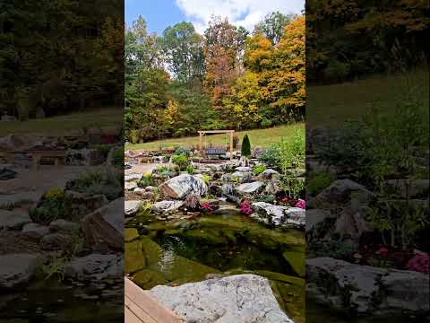 Transform Your Yard into a Wildlife Oasis