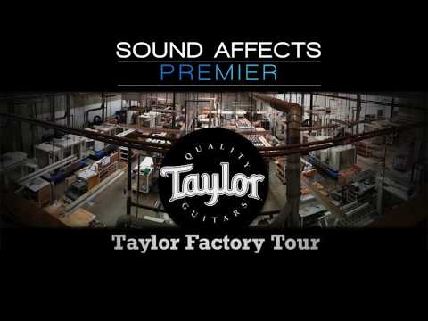 Taylor TAYLOR "Custom GS 12 Build to order LIMITED EDITION" (SECOND HAND) image 23