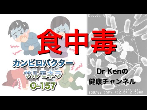 サルモネラ菌について詳しく解説