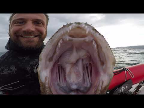 Spearfishing with The Frenchman   HD 720p
