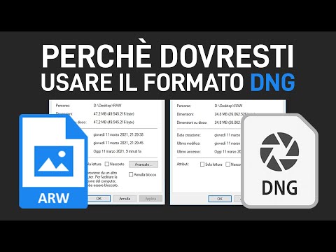 Cos'è il formato "DNG" e perché dovresti iniziare ad utilizzarlo. | + Come convertire un RAW in DNG.