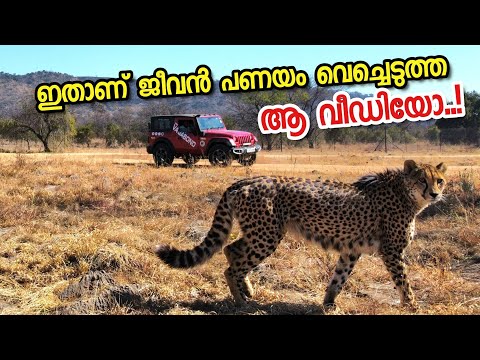 സിംഹങ്ങൾ തേരാപാര നടക്കുന്ന കാട് cross ചെയ്യേണ്ടി വന്നപ്പോൾ.. പൂതി തീർന്ന ദിവസം