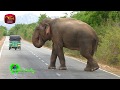 sobadhara-25-08-2018