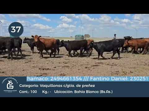 Lote Vq CGP - Bahia Blanca Bs As