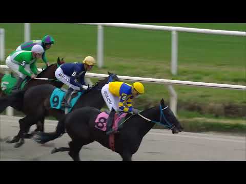 230806 c08 LEOPARD (BRZ)