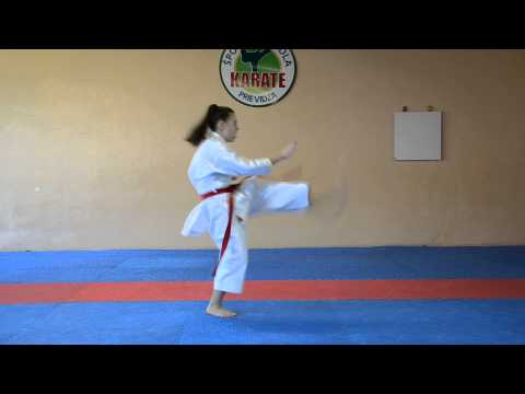 Taikyoku kake uke 1 - Nikoleta Merašická