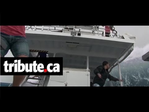 Open Water 3 Cage Dive - Movie Clip: "Boat Hit By Wave"