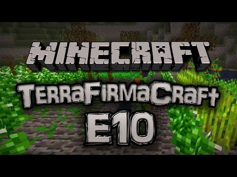 Minecraft - TerraFirmaCraft w/ Friends - E10 :: "Our New Best Friend!"
