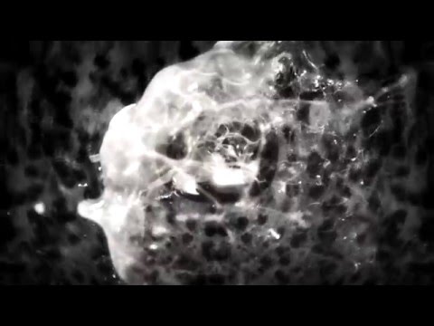 Mic Meimaroglou - Colonized (Official Music Video) [808 Recordings]