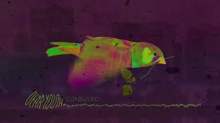 Consoled Music Video