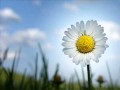 Adam Kling - The Happy Song / Happy This Way ...