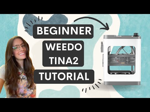 How to print any STL file using the Weedo Tina2 3D Printer with Wiibuilder Slicer (Easy!)