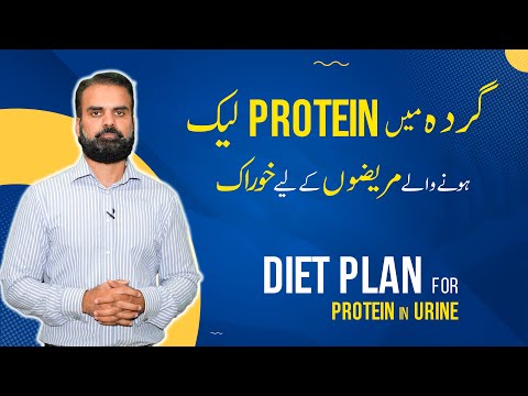 Protein Leak in Urine: Treatment & Diet Plan in Urdu