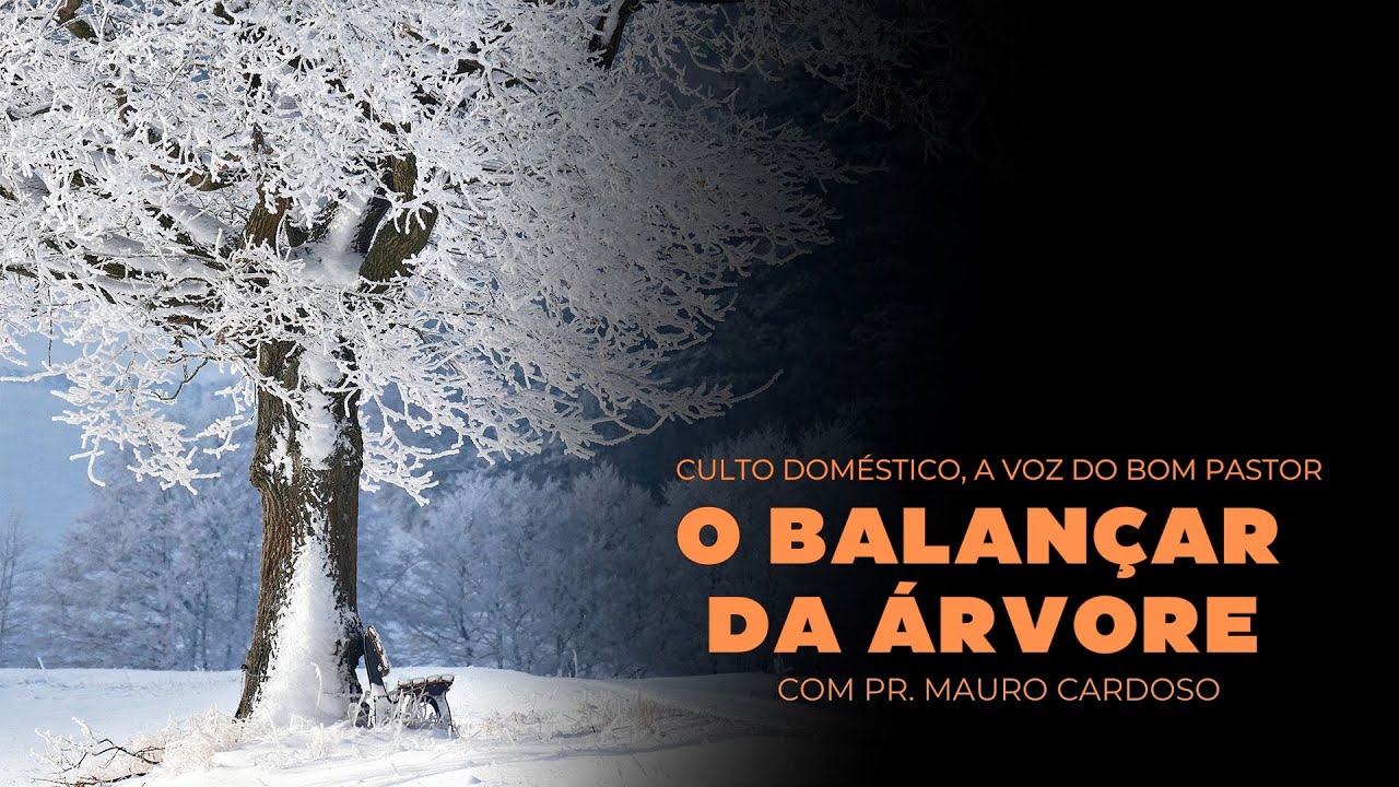 Culto Doméstico: O Balançar Da Árvore  (31.08.24) | Tabernáculo - Anápolis - GO