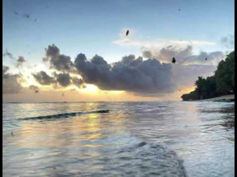 « Maumau le alofa » de Filipo Moefana reprise Akino Musulamu🔥🇼🇫🇼🇫