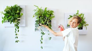 Live Frames With Plants - How To Install & Water